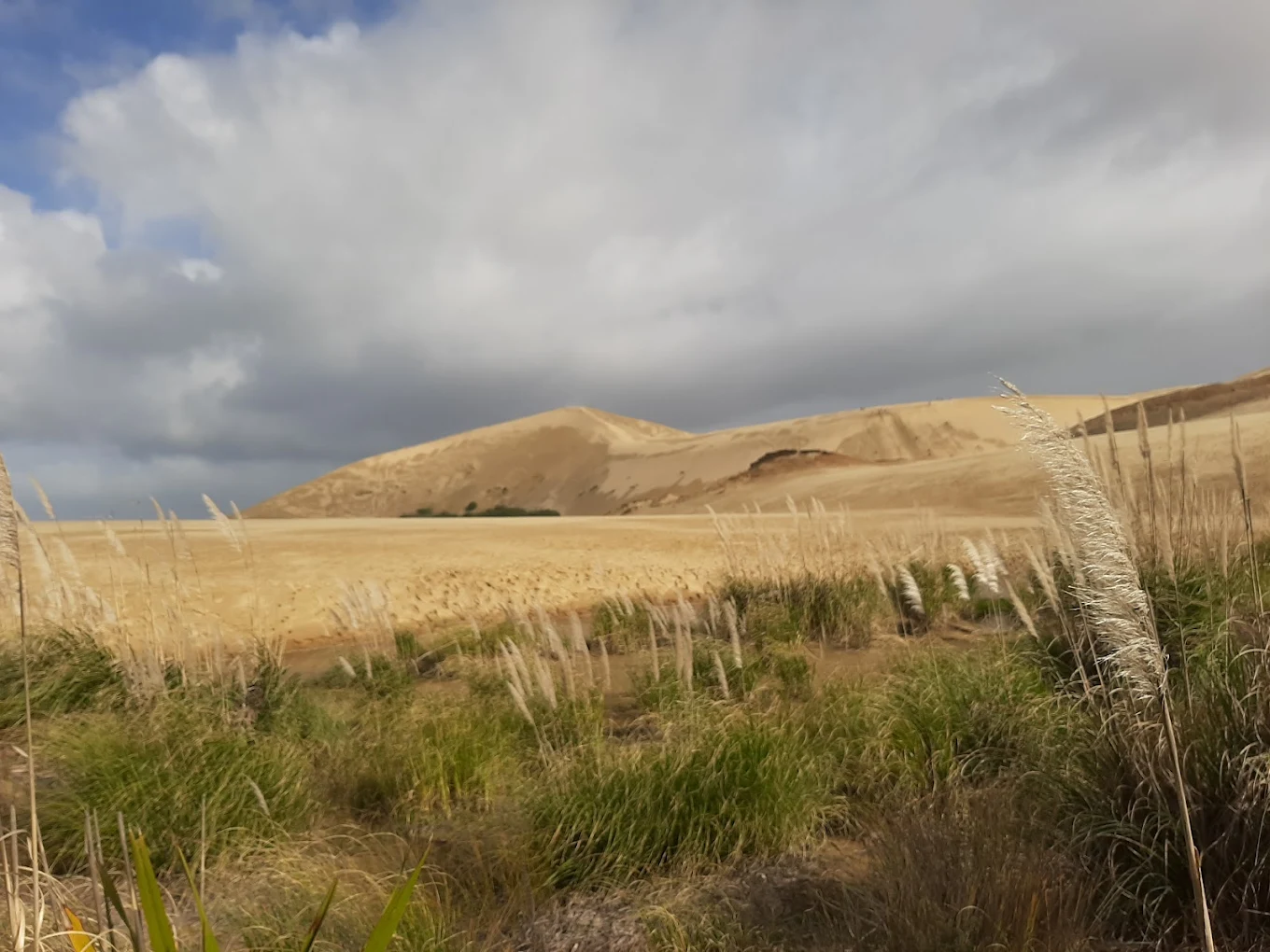 Te Paki Sand Dunes